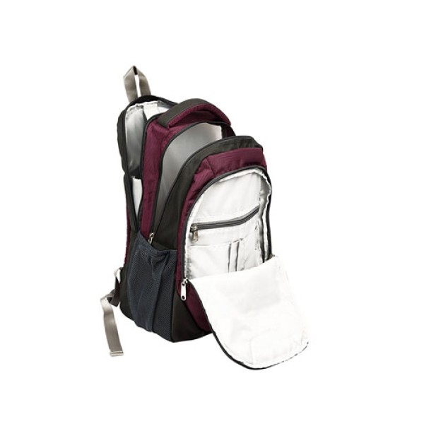 Scout Wine Laptop Backpack (30 Ltrs) (Amico_BKPK50001)